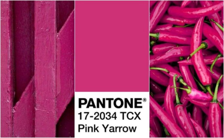 0-pink-yarrow-color-of-the-year-2017-pantone