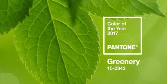pantone