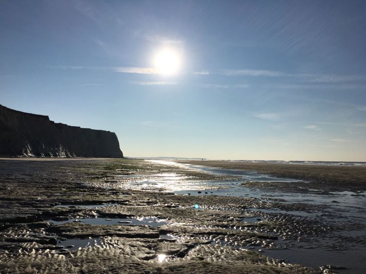 3a258298-1785-4af5-bf5b-08aa94ada3bb