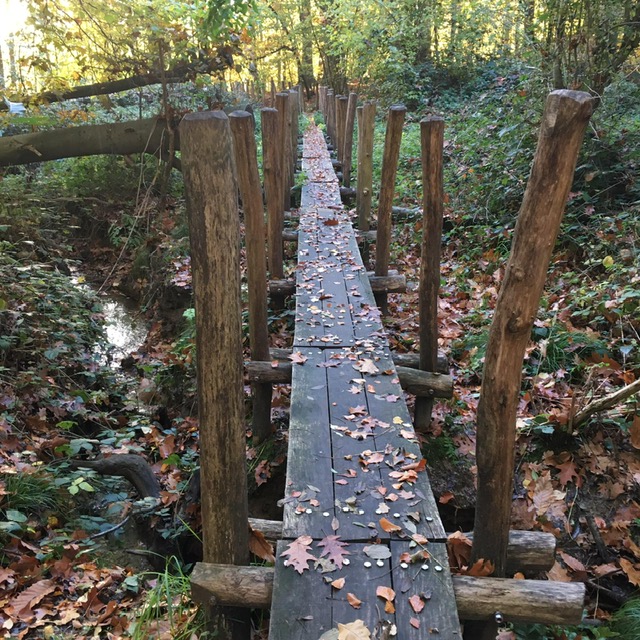 eab43746-5461-4be6-ad70-1979f0616fc2