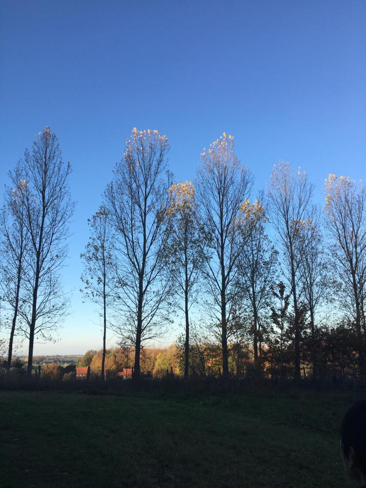 ee93d924-d7e7-4c3b-b656-d41bb5ca0afe